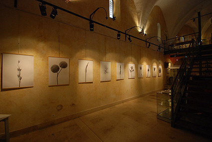 camos expo